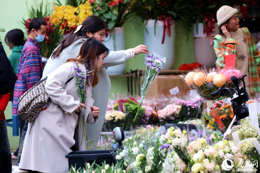 相較于盆景，年輕消費(fèi)者偏愛購買鮮切花。人民網(wǎng)記者 陳博攝