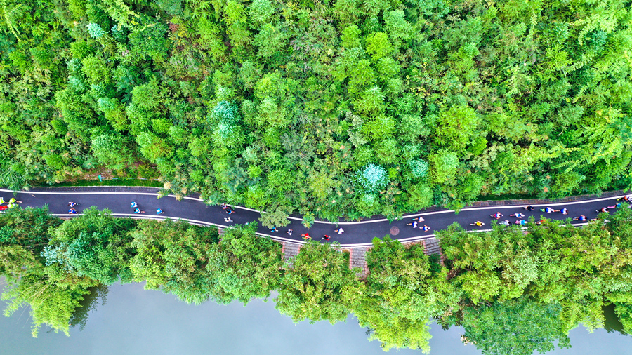 南平是福建的生態(tài)屏障。吳震攝