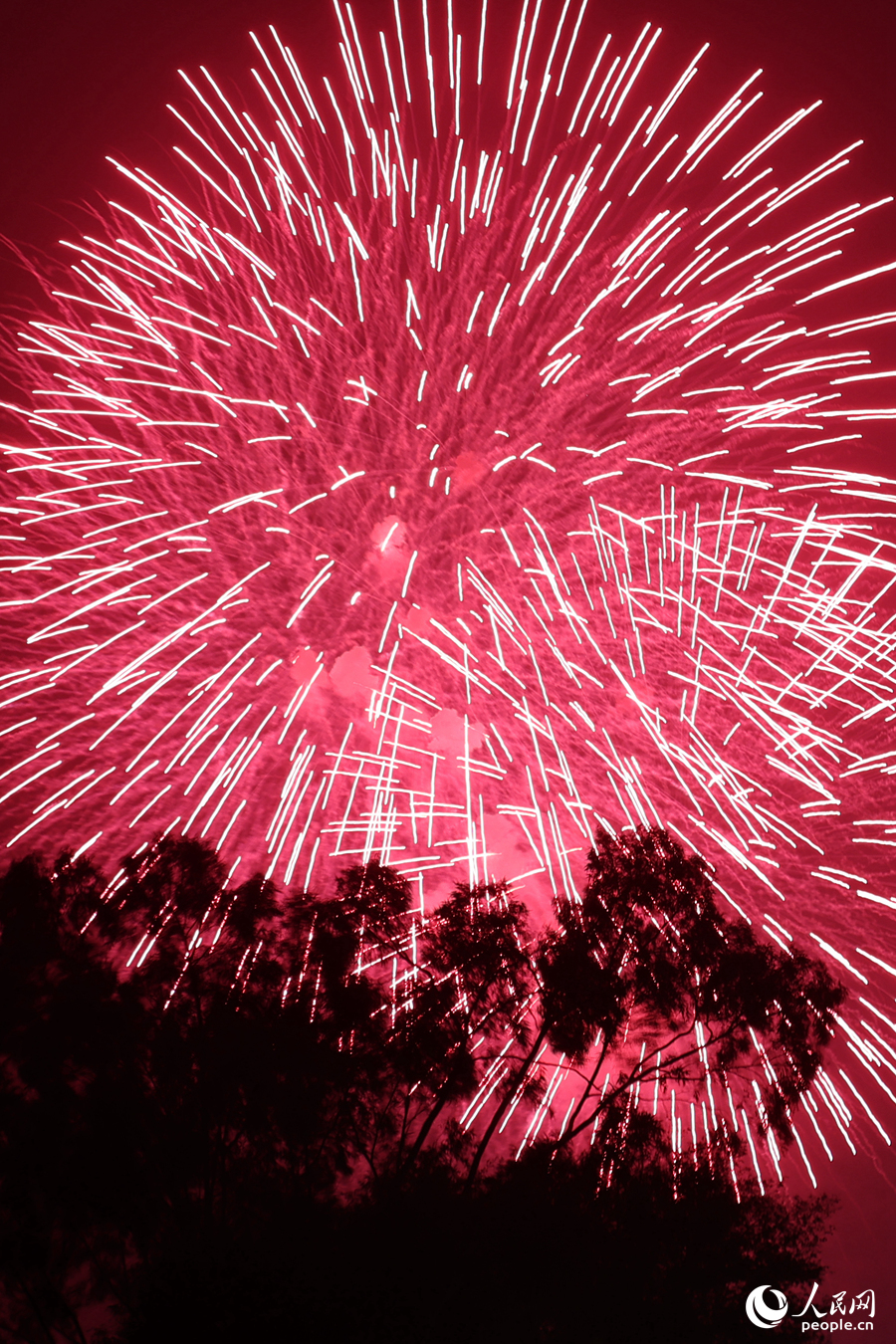 紅紅火火，點(diǎn)燃龍年的希望。人民網(wǎng)記者 陳博攝