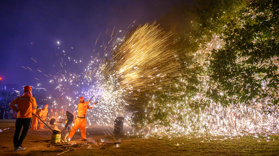 拋灑砂花有除蟲的效果，荔枝樹的長(zhǎng)勢(shì)往往一年更比一年好。蔡昊攝