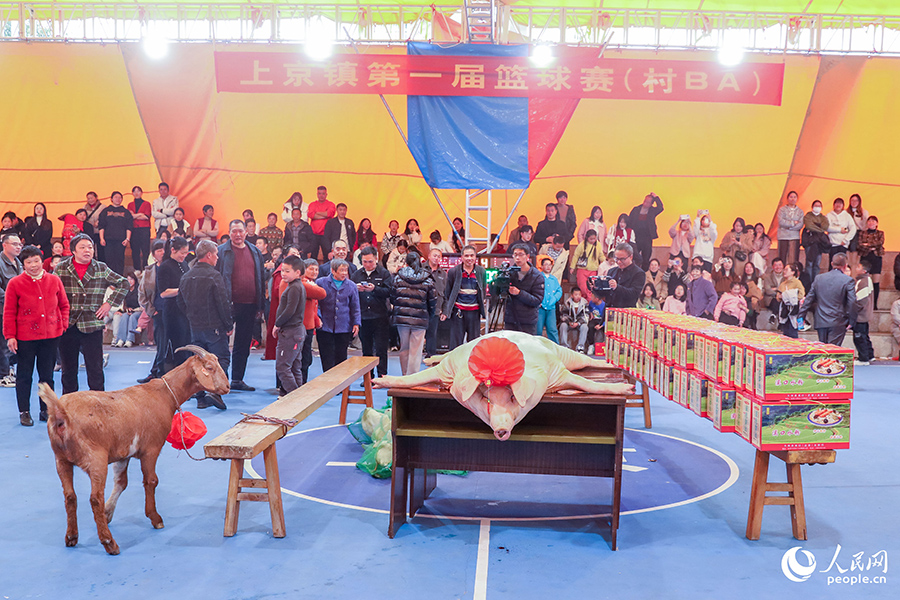 決賽當天，豬、羊、鴨等獎品直接入場，十分吸睛。人民網(wǎng) 陳永整攝