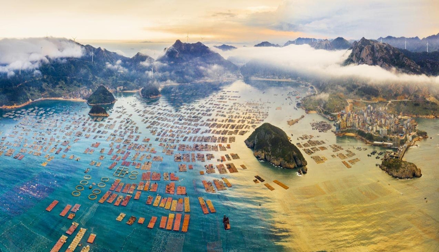 黃岐半島鮑魚養(yǎng)殖“黃金海灣”鑒江半島。連江縣融媒體中心供圖