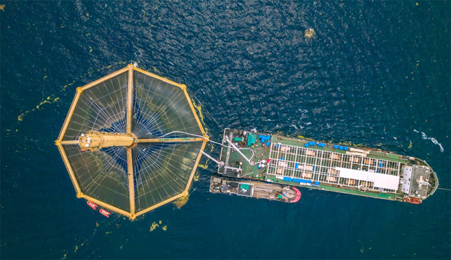 黃海海域的“深藍(lán)1號”。彭照軍攝