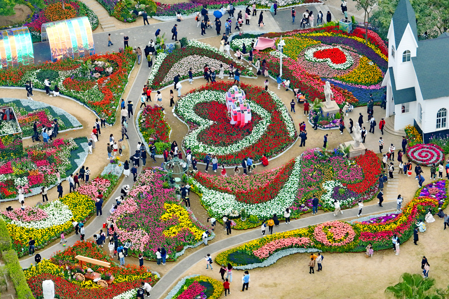 廈門(mén)園博苑郁金香花展游人如織，熱鬧非凡。林麗華攝