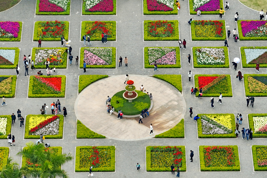 不同色系的郁金香搭配各式元素，猶如調(diào)色盤(pán)一般美麗動(dòng)人。林麗華攝