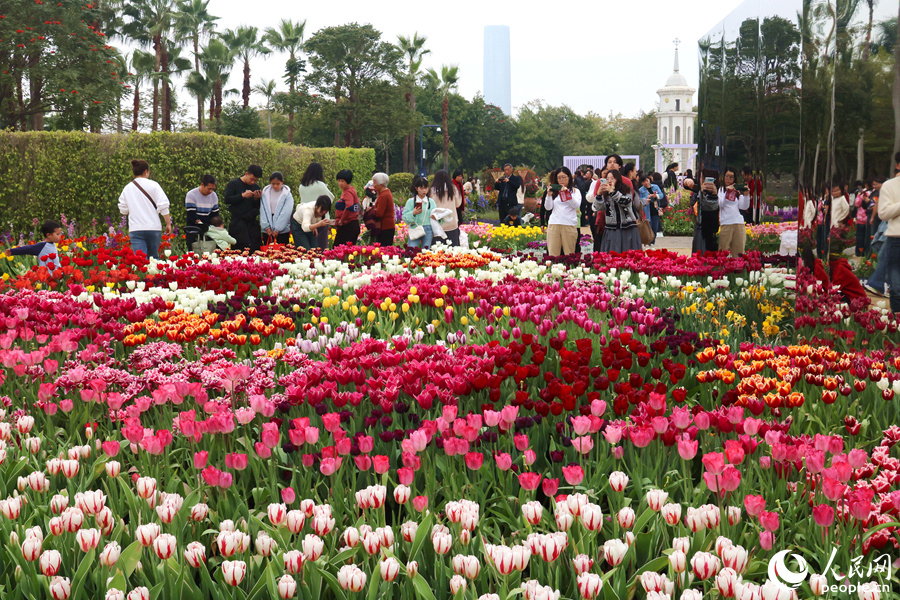 各色郁金香爭(zhēng)奇斗艷，形成一道道花浪。人民網(wǎng)記者 陳博攝