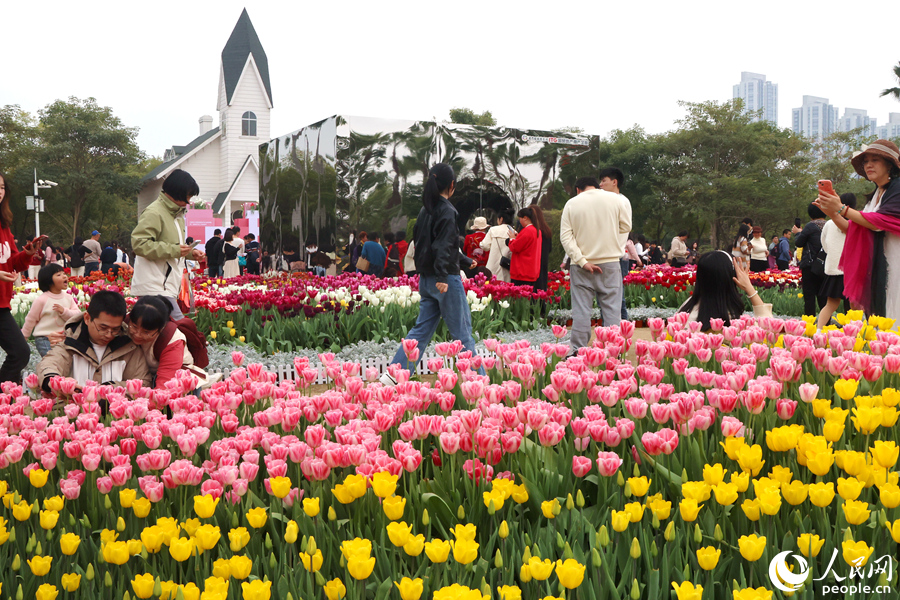 市民游客漫步花海之間。人民網(wǎng)記者 陳博攝