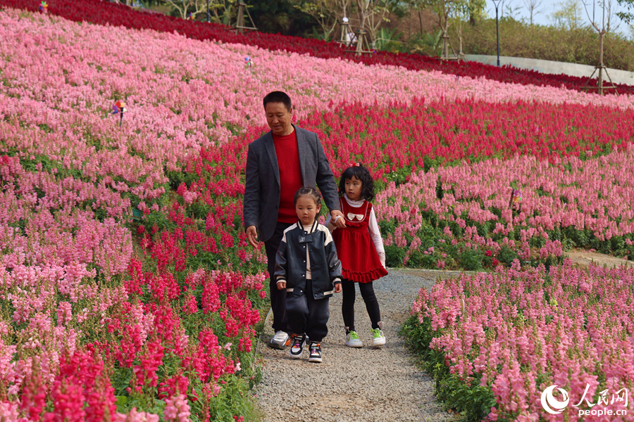 市民游客漫步花田小徑。人民網(wǎng)記者 陳博攝