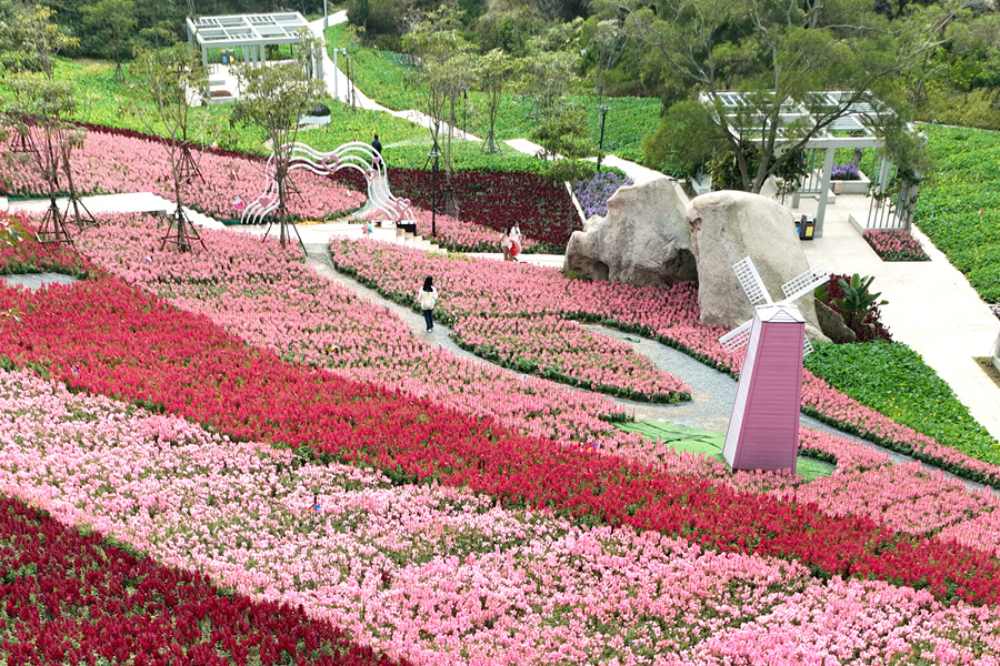 風(fēng)車(chē)、鋼琴、彩虹等造型裝飾在花海中，形成了一個(gè)個(gè)獨(dú)具特色的主題小品。許秋珩攝