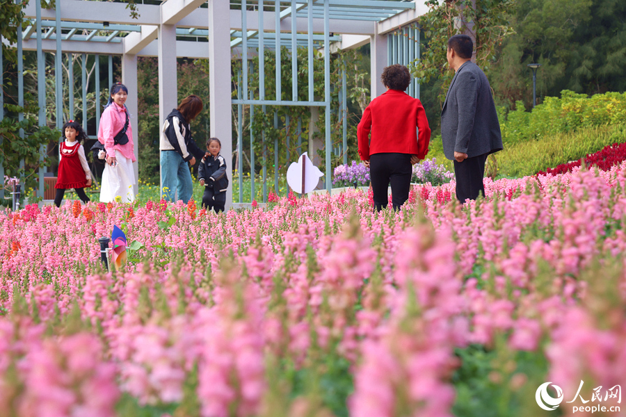 梅?；ㄅ_(tái)游人如織，上山賞春的市民游客絡(luò)繹不絕。人民網(wǎng)記者 陳博攝