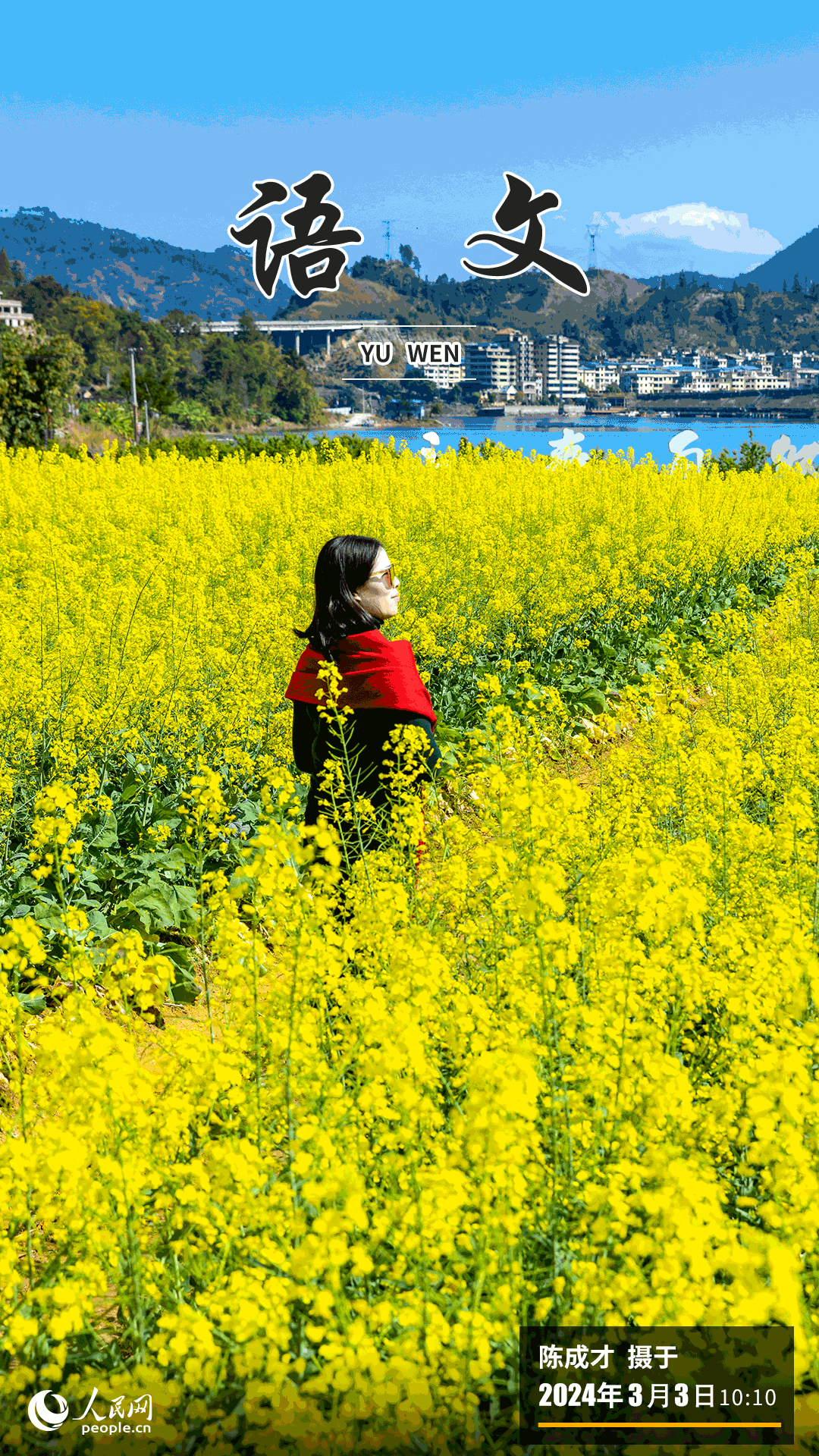 進(jìn)入三月，福州市永泰縣赤錫鄉(xiāng)的油菜花田迎春綻放，金黃的花海洋溢著醉人的春意，美不勝收，吸引不少游客踏青賞花。
