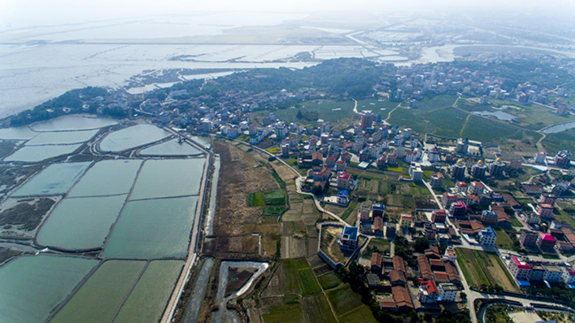 福清市新厝鎮(zhèn)江兜村鳥瞰圖。福清市新厝鎮(zhèn)供圖