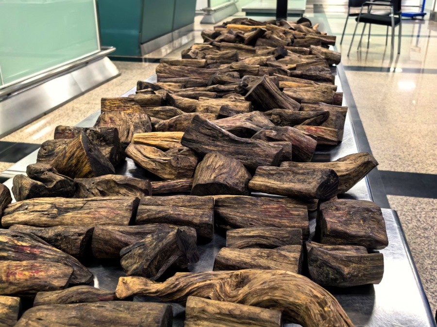 此次查獲的沉香木共計48.65公斤。謝臻攝