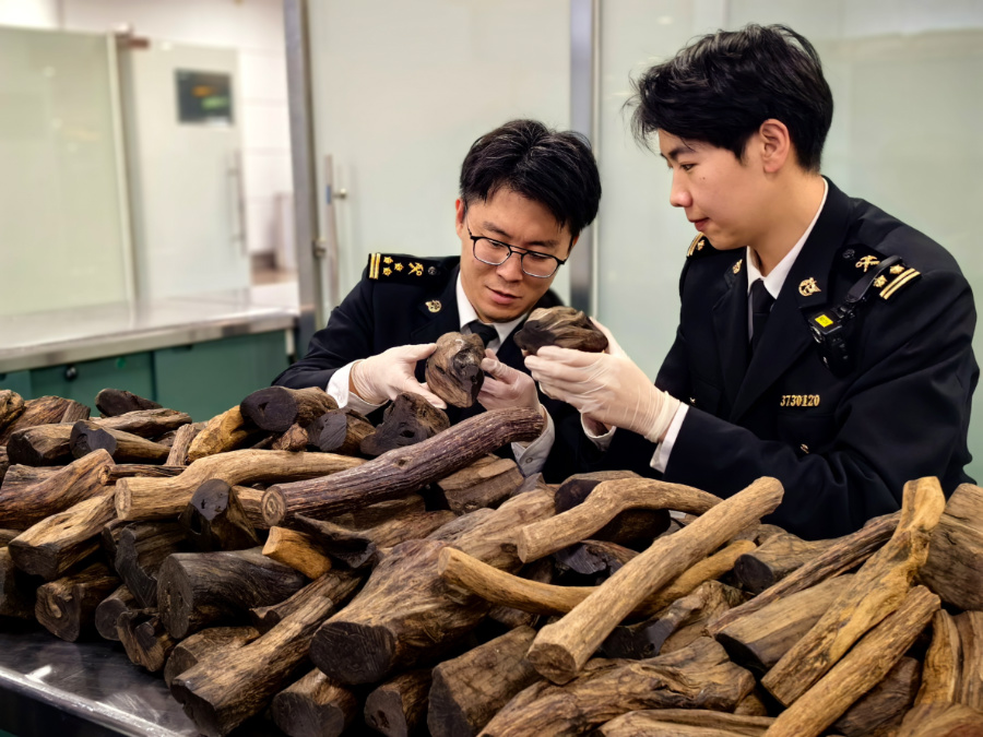 海關關員進行查驗。謝臻攝