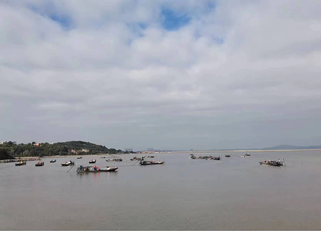 沙埔鎮(zhèn)青嶼村灘涂。沙埔鎮(zhèn)供圖