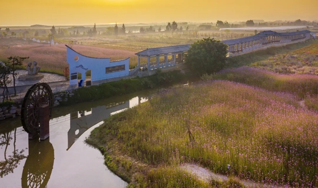 閩江河口國家濕地公園。長樂區(qū)融媒體中心供圖