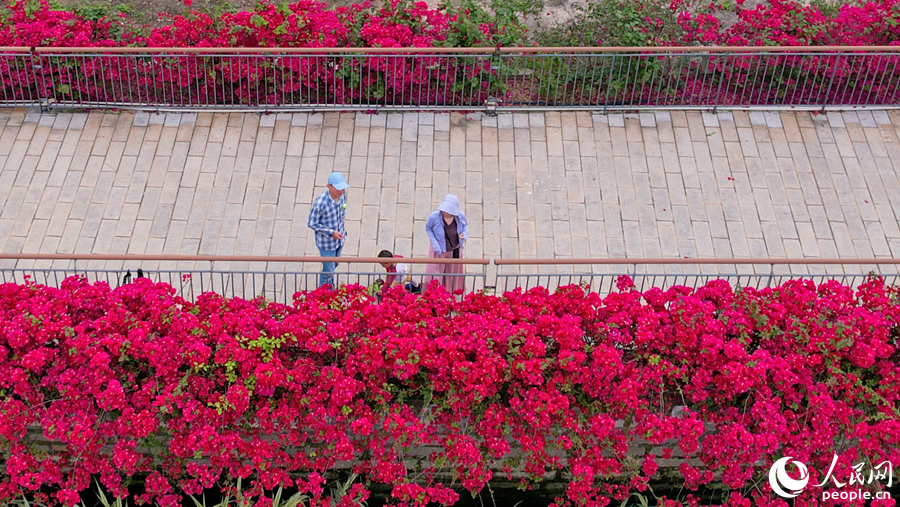 市民游客漫步于“水上花廊”之中。人民網(wǎng)記者 陳博攝