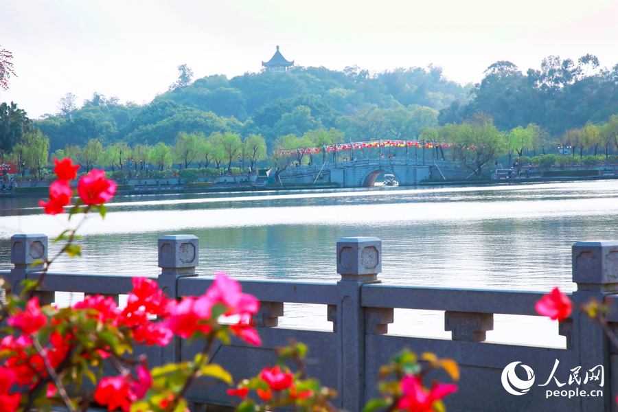 福州西湖一隅。人民網(wǎng) 黃東儀攝