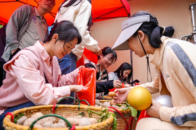 土豆趣味活動(dòng)區(qū)。