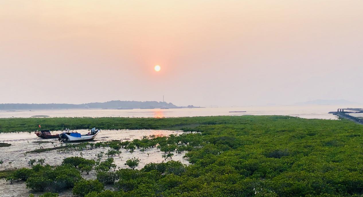 湄洲島風光。許雙萍攝