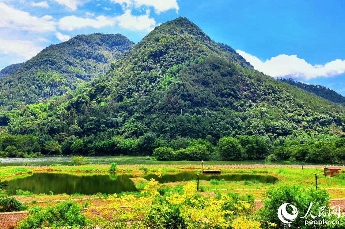 霍童山下，云霧繚繞間，曠野山河美。人民網(wǎng) 李唯一攝