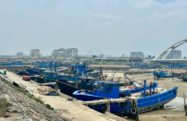 休漁期，漁船靠岸，漁民放起了“暑假”。