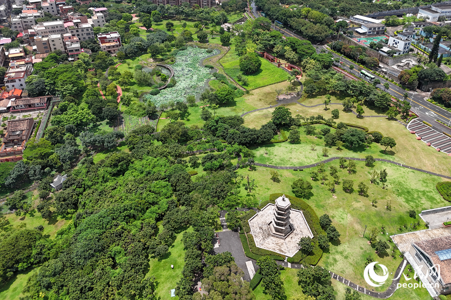 綠意盎然的廈門同安文筆塔公園。人民網記者 陳博攝