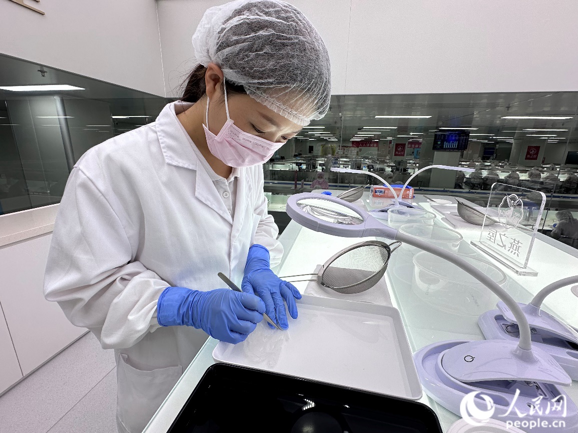 挑揀師正在示范挑除燕窩原材料中的雜質(zhì)。人民網(wǎng)記者 王紹紹攝