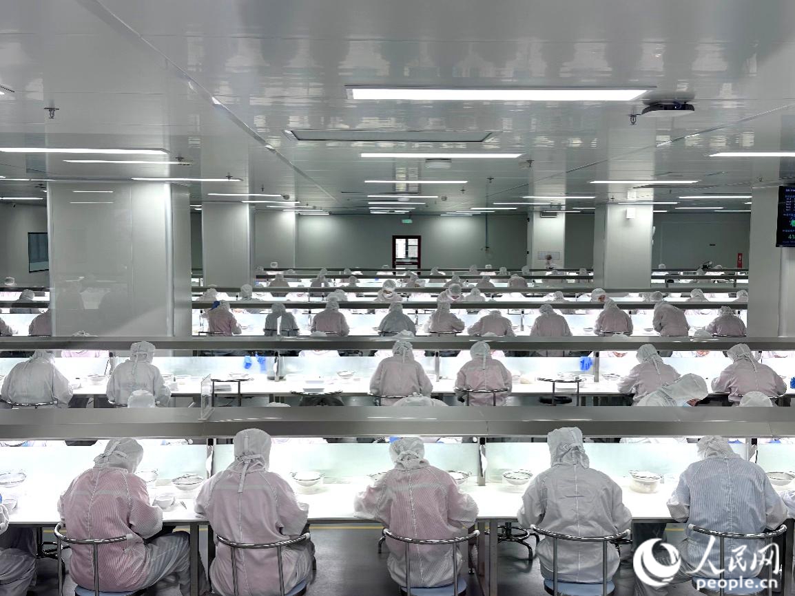 挑揀師正在挑除燕窩原材料中的雜質(zhì)。人民網(wǎng)記者 王紹紹攝