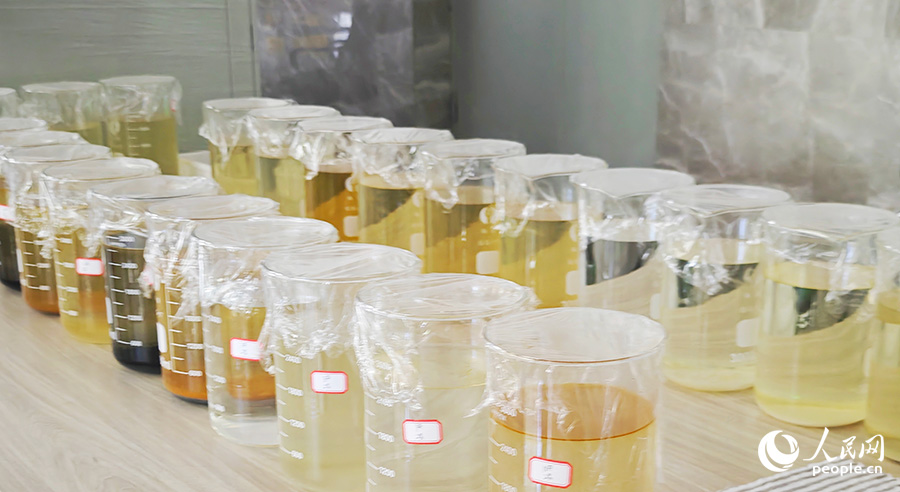 東方電氣（福建）創(chuàng)新研究院有限公司實驗室內的水樣。人民網(wǎng) 黃東儀攝