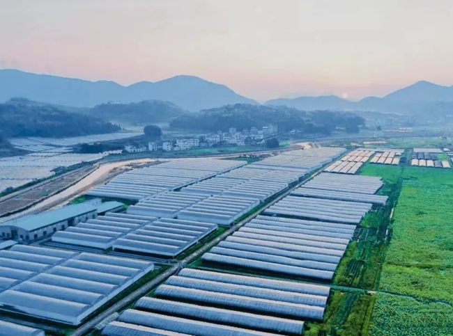 申請省級財政用于花卉企業(yè)設(shè)施大棚建設(shè)。福建省林業(yè)局供圖