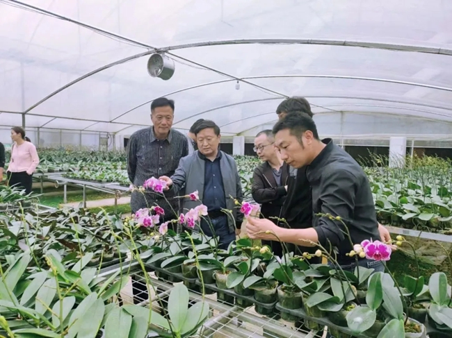 陪同縣領(lǐng)導(dǎo)到福建省林業(yè)科技試驗中心參觀考察。福建省林業(yè)局供圖