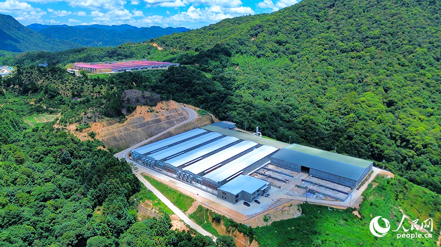 福州市永泰縣丹云鄉(xiāng)的金蛋工程二期項(xiàng)目（畫(huà)面近處灰色屋頂）即將投產(chǎn)。人民網(wǎng) 黃東儀攝