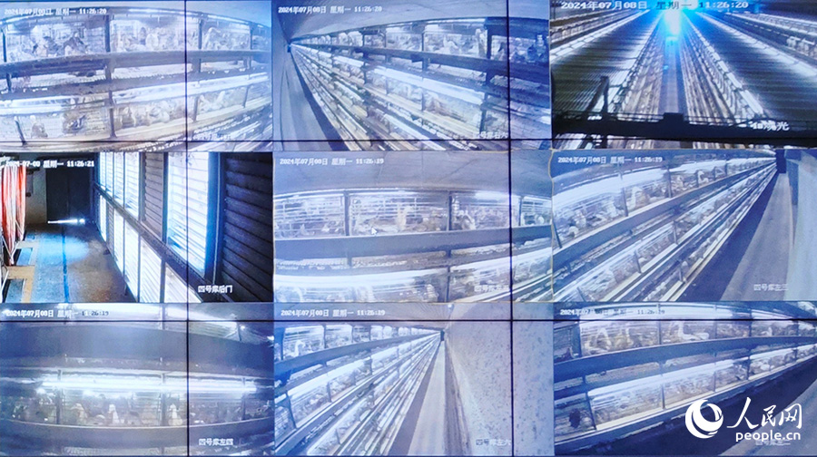 金蛋一期項(xiàng)目廠房的監(jiān)控大屏。人民網(wǎng) 黃東儀攝