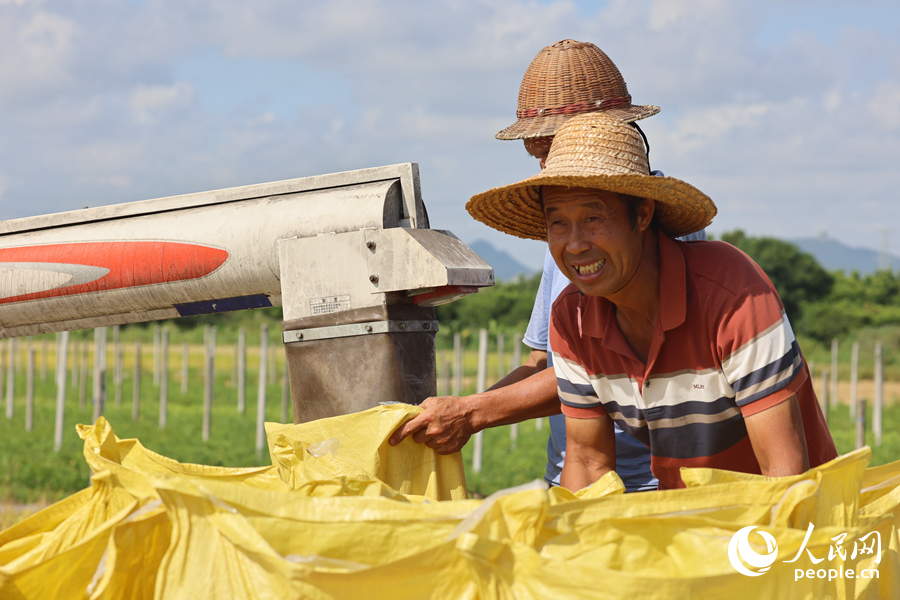 看著自家滿滿的糧袋，農(nóng)戶喜笑顏開。人民網(wǎng)記者 陳博攝