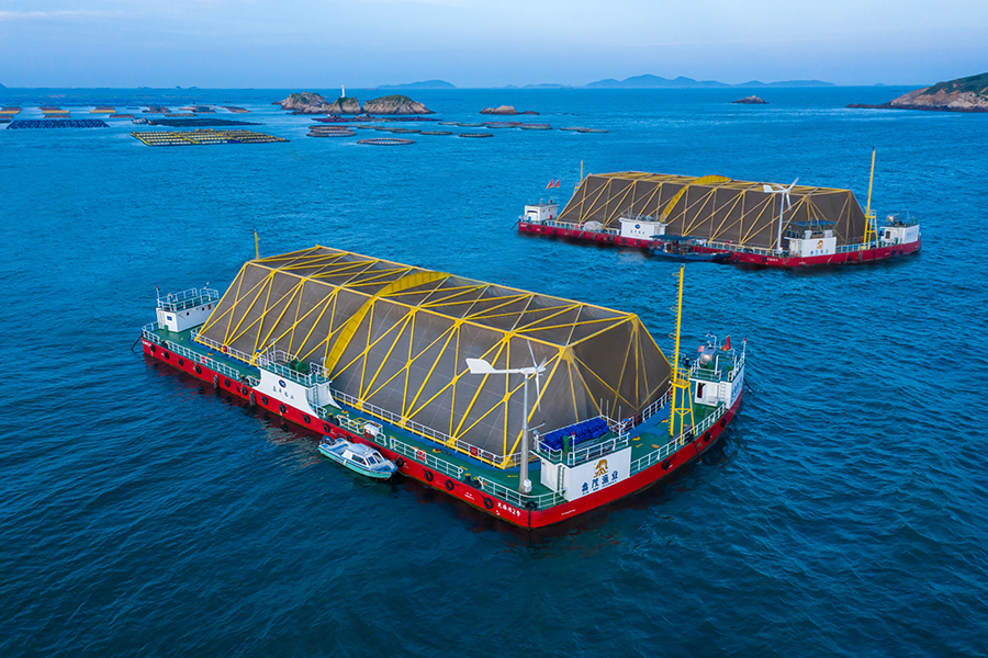 “定海灣1號”和“定海灣2號”深遠海養(yǎng)殖平臺。受訪者供圖