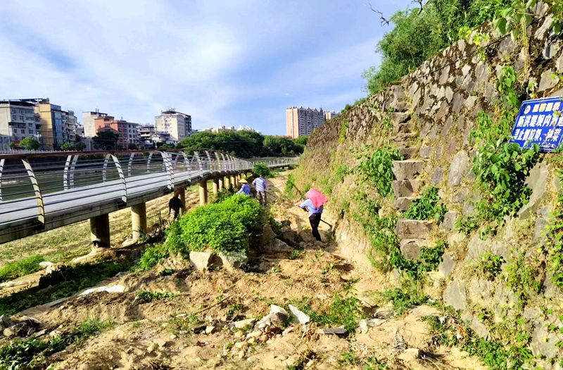 接到群眾反映后，河?xùn)|鄉(xiāng)政府組織村民對(duì)防洪堤壩內(nèi)河道上種植的蔬菜進(jìn)行清理。河?xùn)|鄉(xiāng)政府供圖