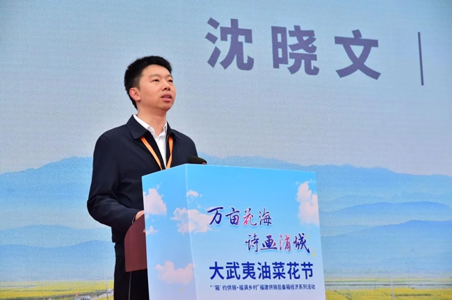 沈曉文(資料圖)