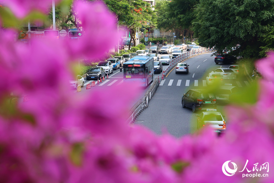 “空中花廊”下車水馬龍。人民網(wǎng)記者 陳博攝