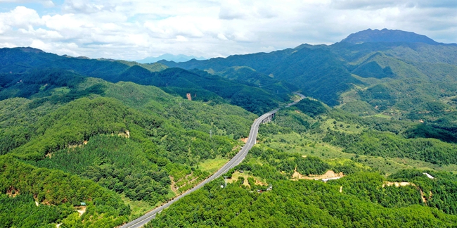 上杭白砂國(guó)有林場(chǎng)。郭亦斌攝