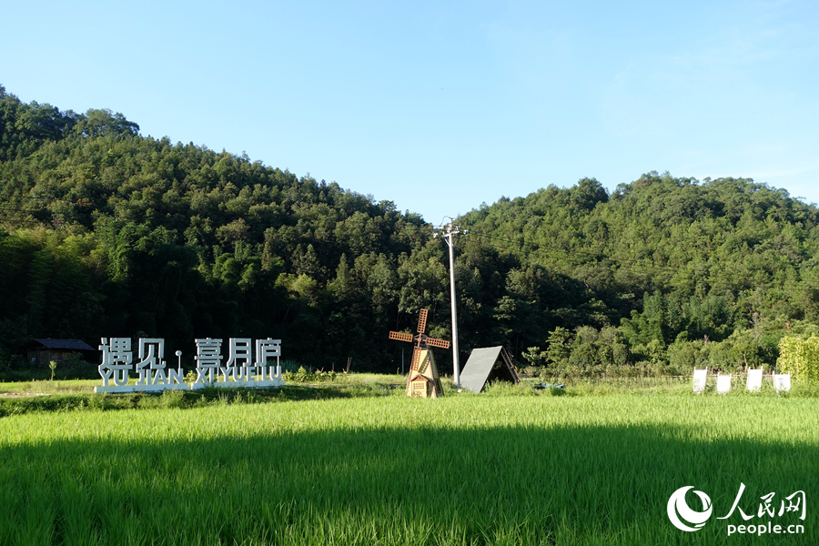 蛟湖村的喜月廬露營基地里，綠色稻田郁郁蔥蔥。人民網(wǎng) 謝星宇攝