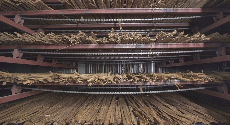 竹子正在烘干。金敏攝