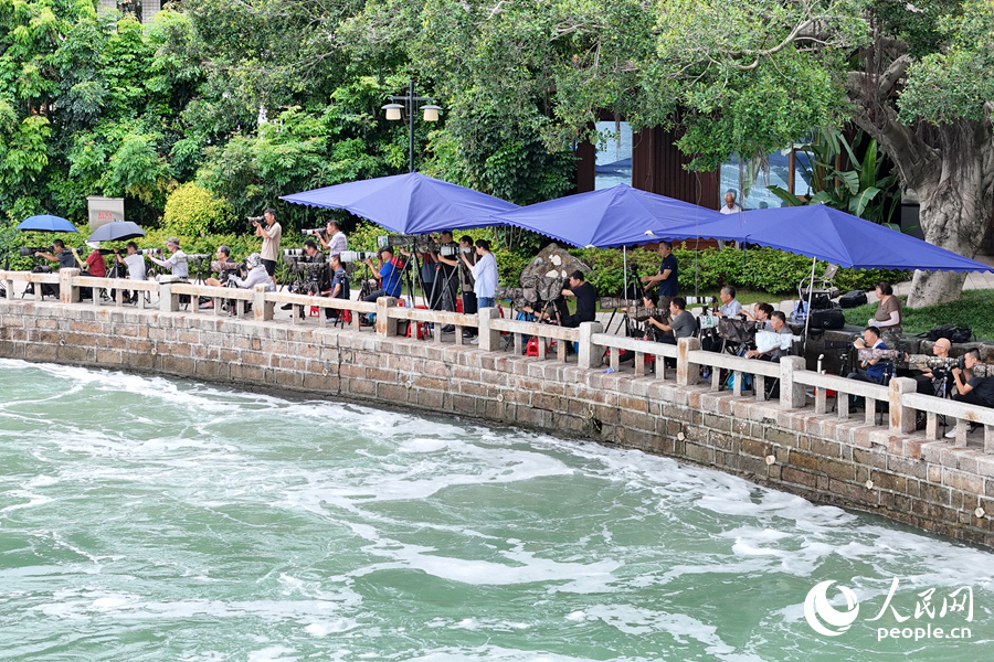 不少攝影愛好者前來一睹白鷺的靈動身姿。人民網記者 陳博攝