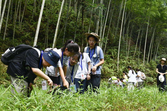同學(xué)們認(rèn)真觀察大自然。主辦方供圖