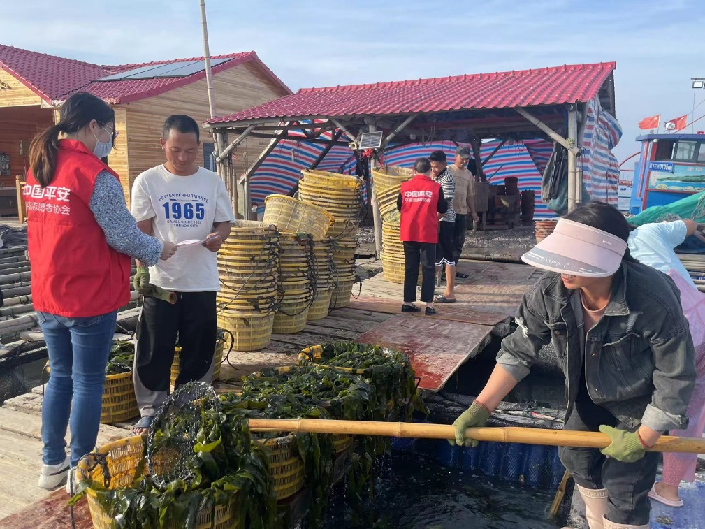 平安產(chǎn)險(xiǎn)寧德中心支公司深入調(diào)研走訪(fǎng)霞浦當(dāng)?shù)貪O業(yè)養(yǎng)殖大戶(hù)