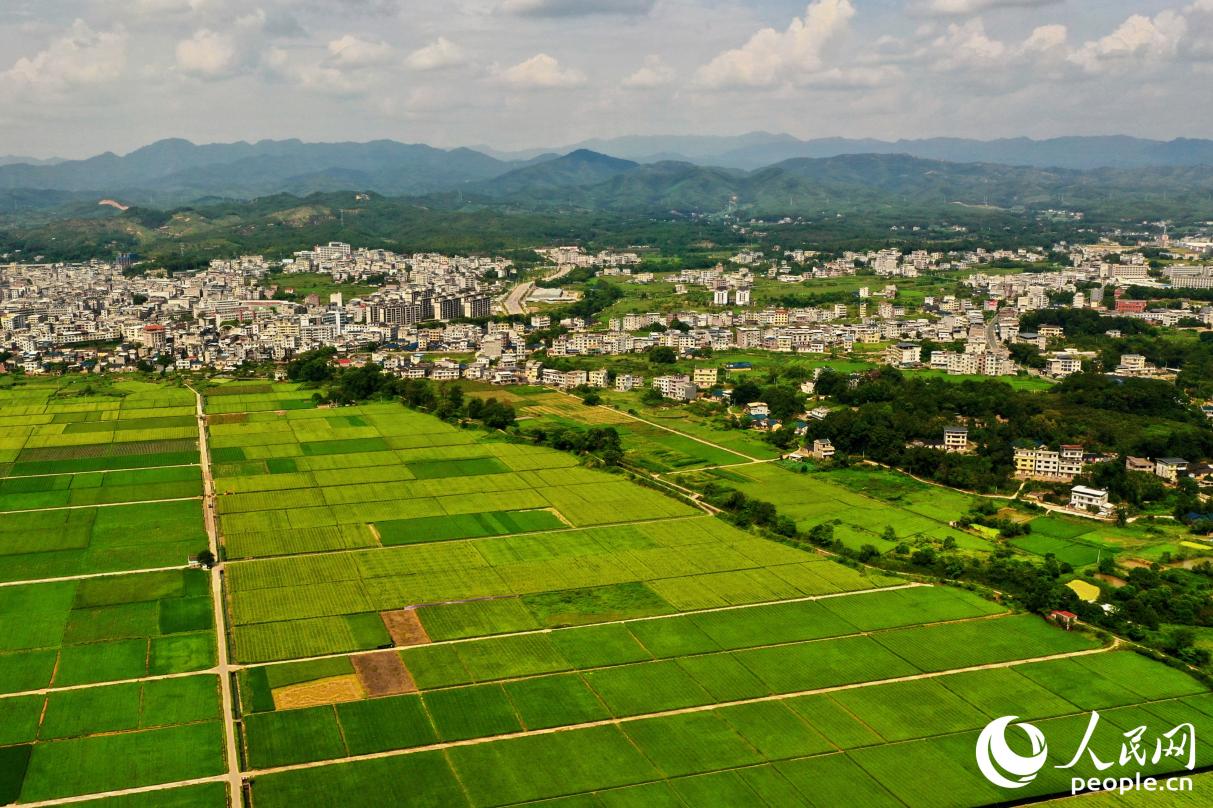 美麗田園提升村莊“顏值”。人民網(wǎng) 李唯一攝