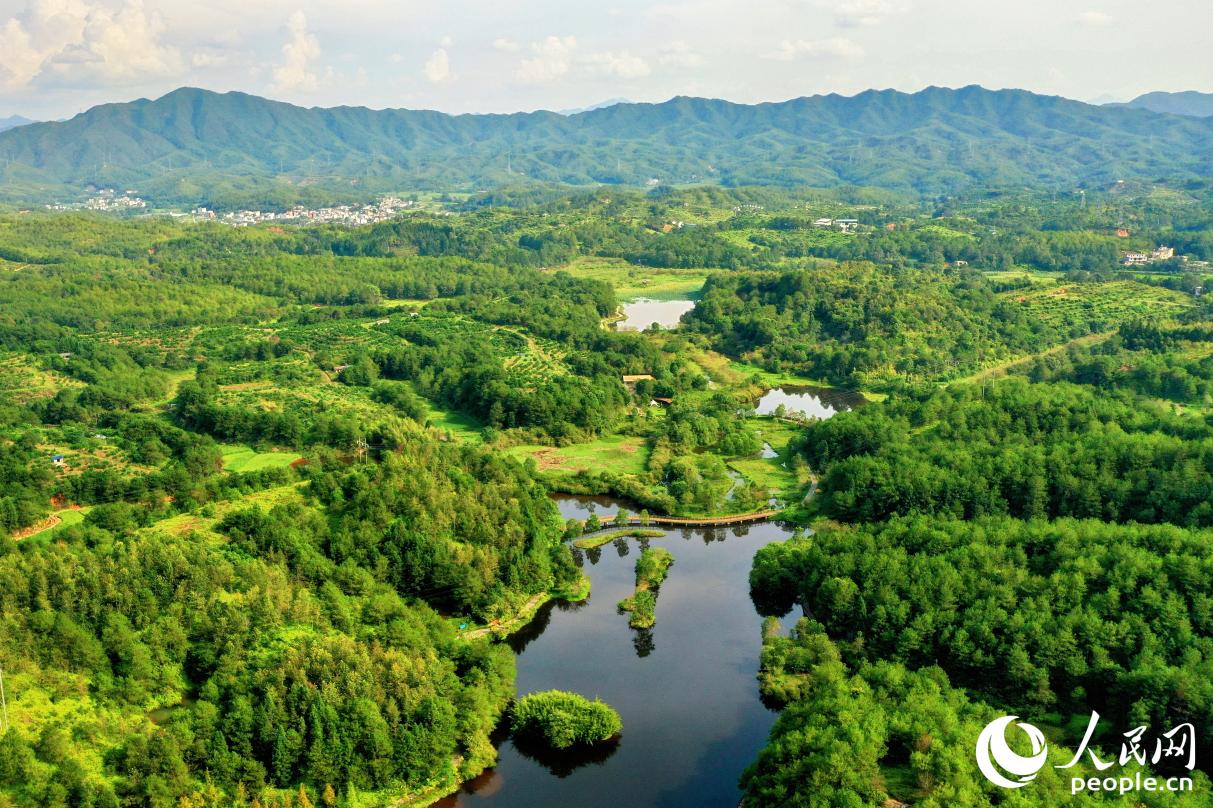 汀江國(guó)家濕地公園總面積590.9平方公里，是我國(guó)唯一的河岸濕地。人民網(wǎng) 李唯一攝