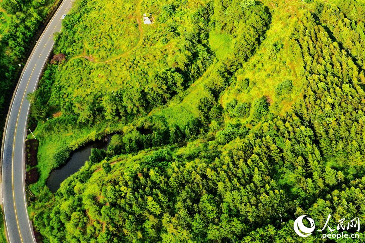 經(jīng)過30多年的生態(tài)治理，汀江國(guó)家濕地公園已是水土流失治理“長(zhǎng)汀經(jīng)驗(yàn)”升級(jí)版的生動(dòng)展示。人民網(wǎng) 李唯一攝