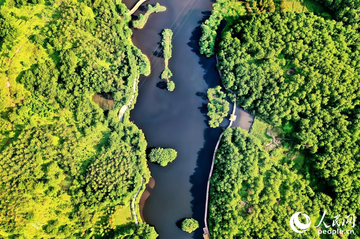 如今，汀江國(guó)家濕地公園實(shí)現(xiàn)了“火焰荒山－綠水青山－花果滿山—金山銀山”的歷史性轉(zhuǎn)變。人民網(wǎng) 李唯一攝
