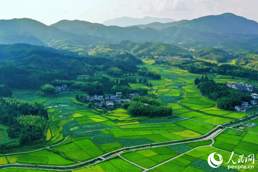 河龍鄉(xiāng)大洋梯田是河龍貢米核心產(chǎn)區(qū)。人民網(wǎng) 李唯一攝